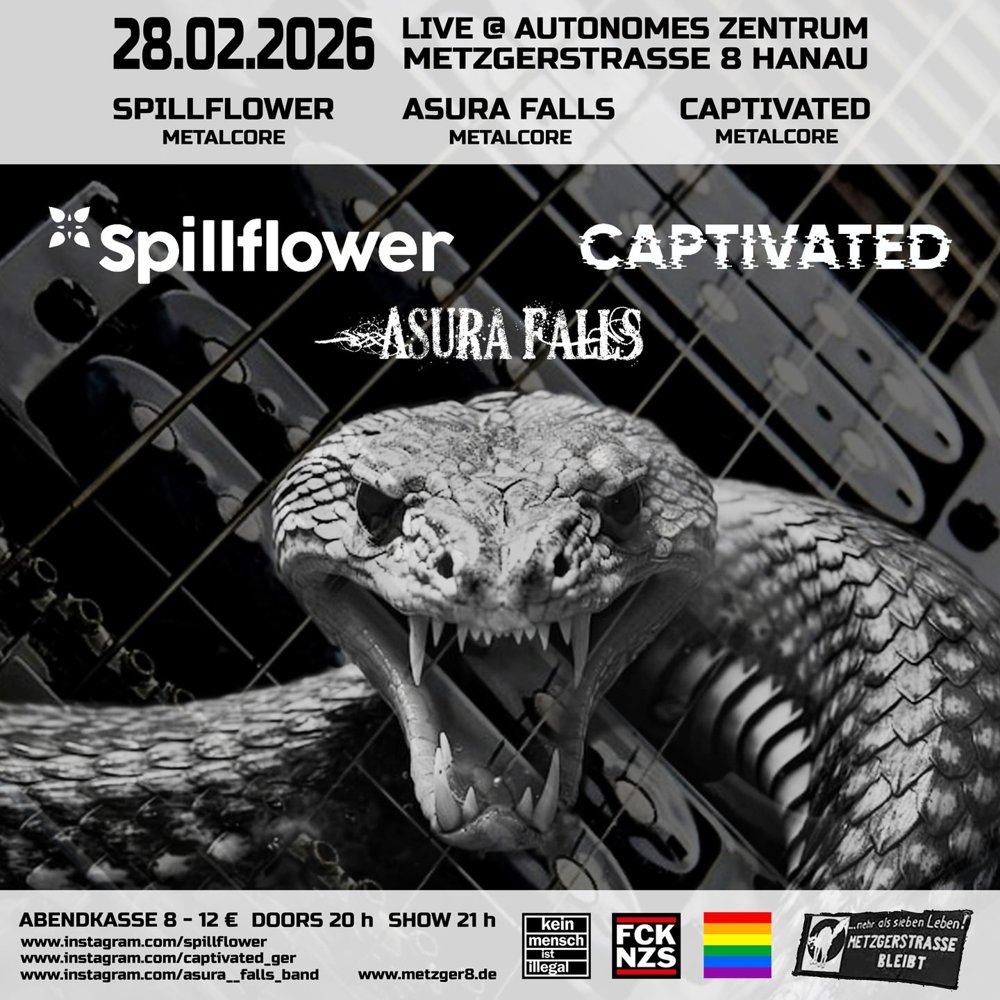 Spillflower + Captivated + Asura Falls