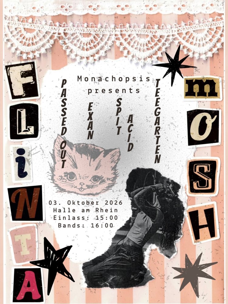 Flinta Mosh: Passed Out + Exan + Spit Acid + Teegarten