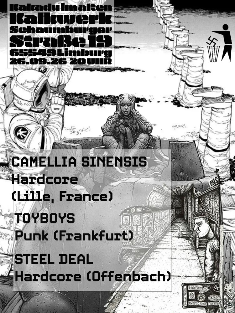 Camellia Sinensis + Toyboys + Steel Deal