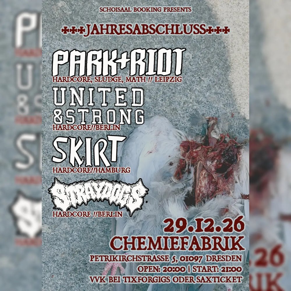 Park+Riot / United & Strong / Skirt / Stray Dogs