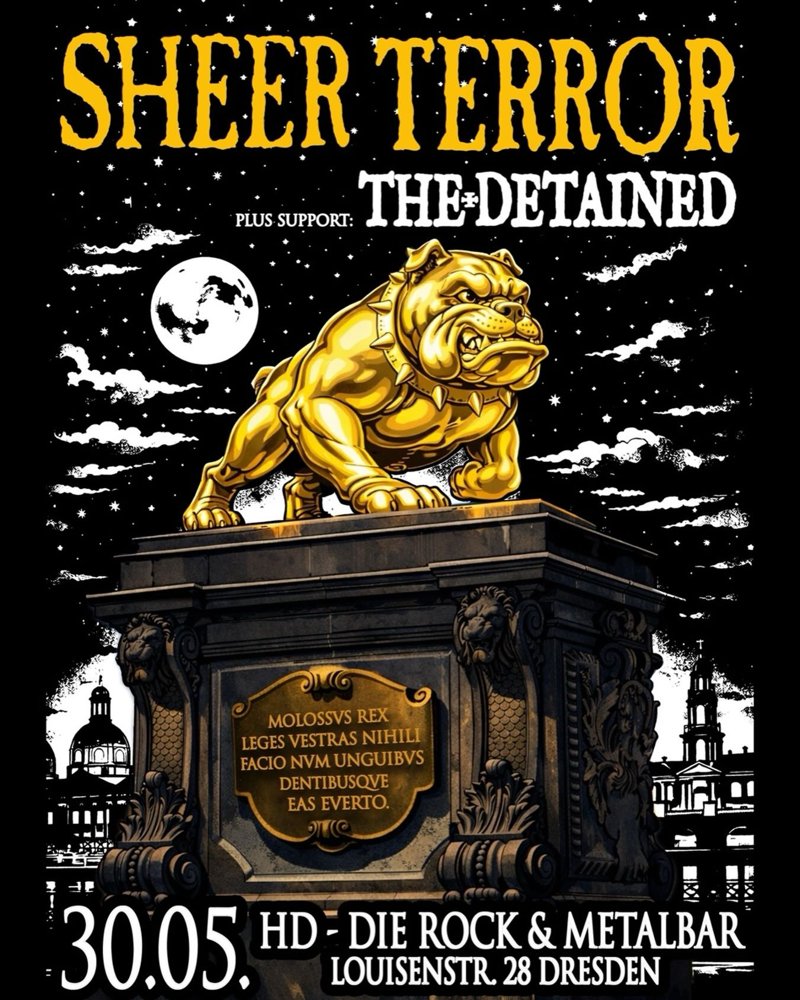 Sheer Terror + The Detained