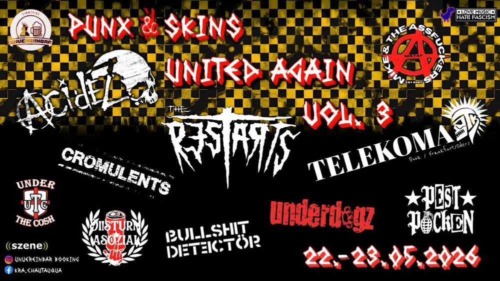 Punx & Skins United Again - Vol. 3