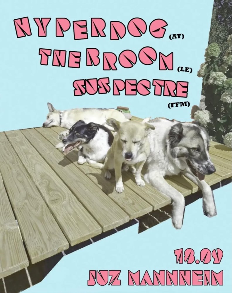 Hyperdog + The Broom + Suspectre